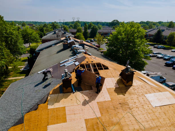 Trusted Storm Damage Roof Repair service in Odenton, MD - Brentwood Metal Roofing